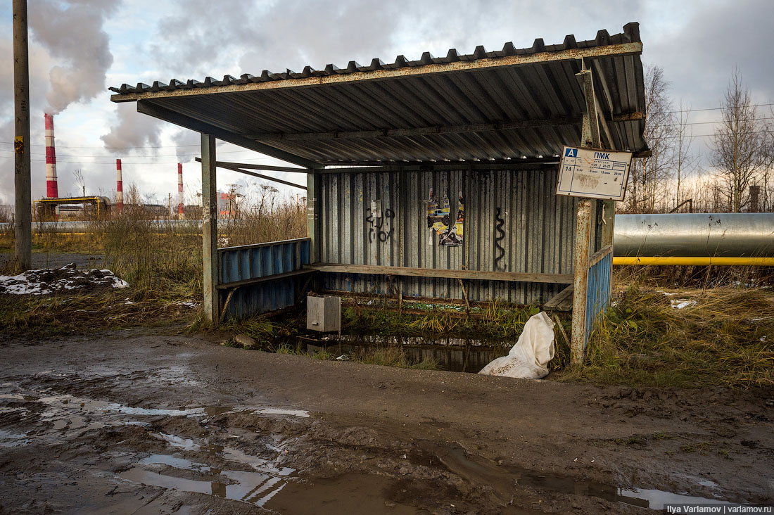 Российский остановиться. Остановка в России. Автобусная остановка в России. Автобусная остановка Росси. Автобусная остановка в деревне.