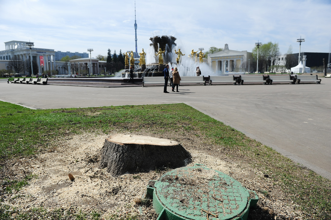 Как Петербург превращался в каменные джунгли 